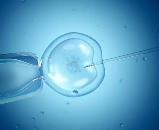 什麼人做試管嬰兒容易成功