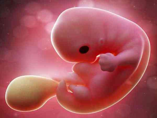 上饒婦幼保健院試管嬰兒費用