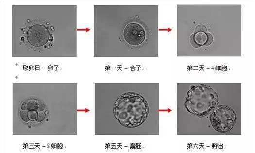 14b9c965eb4a85146cf708d89ed89aa9.jpg