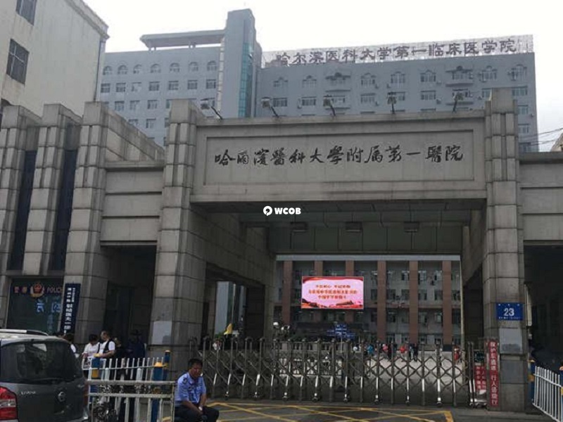 哈醫大一院做試管鮮胚移植的案例