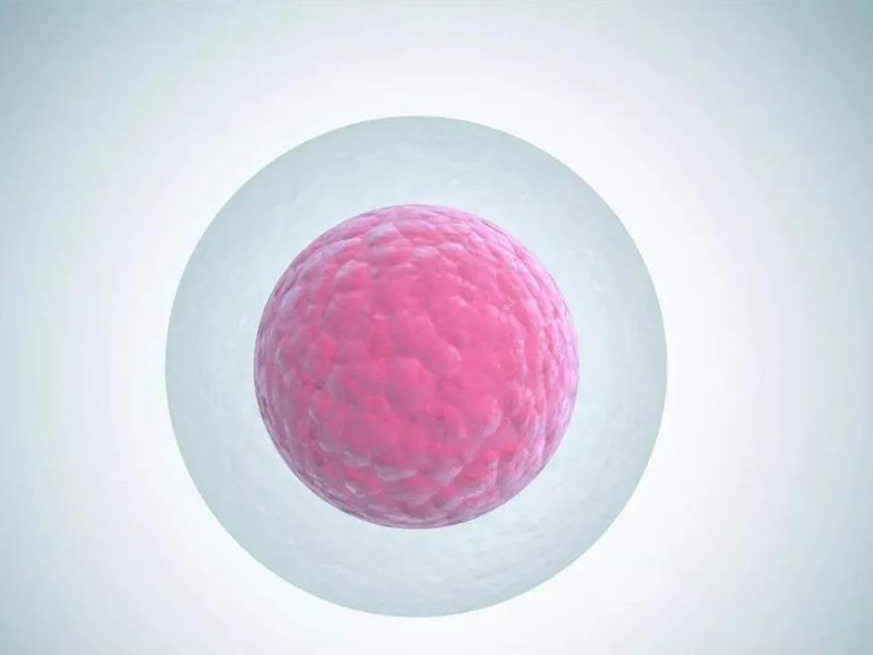 a55c0e80e8b6526c342b78ae5e16225b.JPG