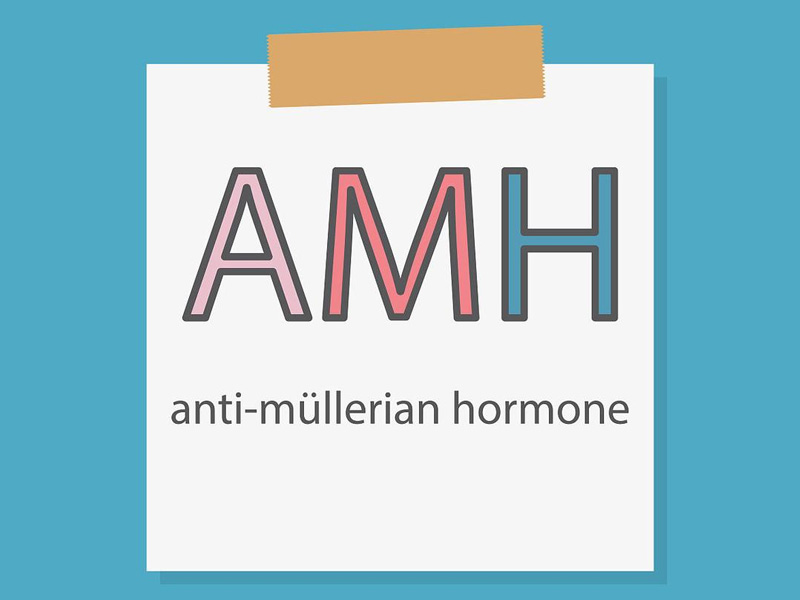 AMH0.33做試管嬰兒成功率有多少
