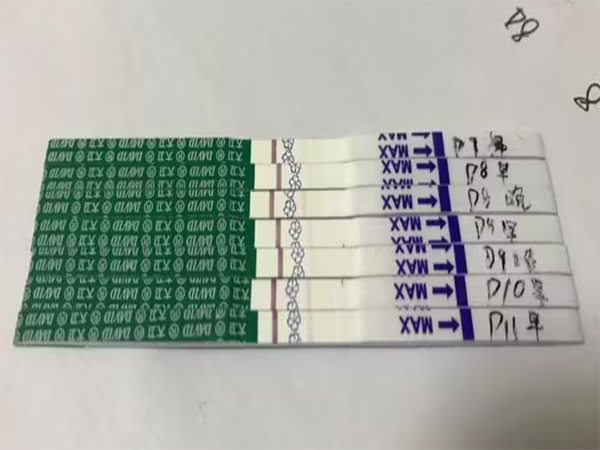 囊胚移植後確診懷孕的最佳時間