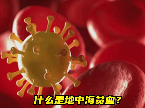 解析十個婚檢九個地中海貧血意思