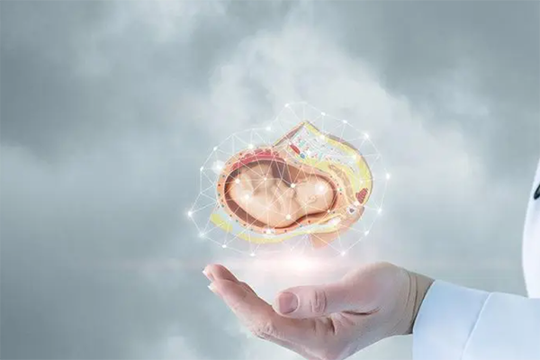 廣東婦幼人工受孕成功率一覽