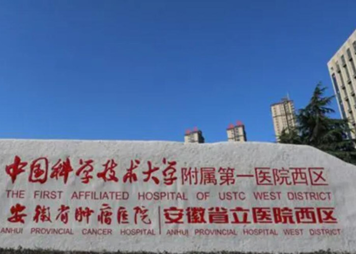 合肥試管包成功醫院排名