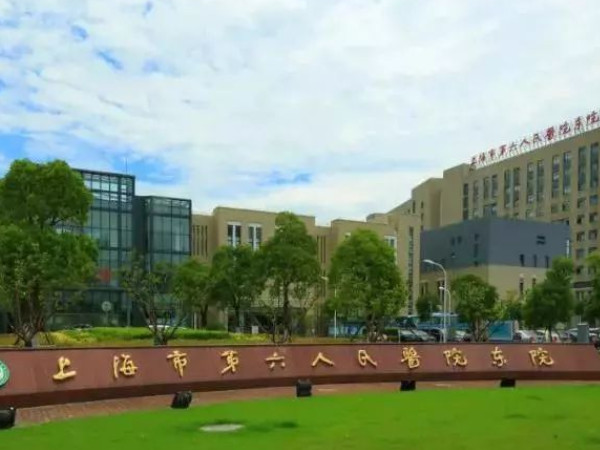 上海六院供精人工授精要多少錢