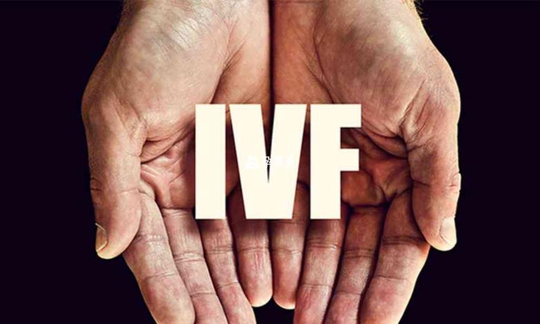 體外受精－胚胎移植技術（IVF）