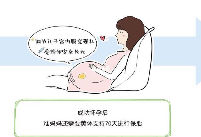 試管嬰兒成功後保胎