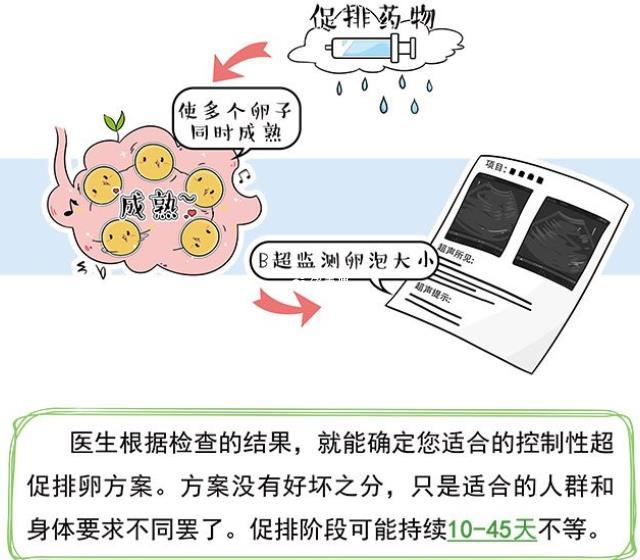 促排降調定方案