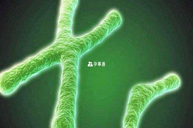 常染色體隱性遺傳