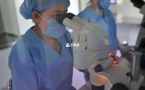 人工授精檢查