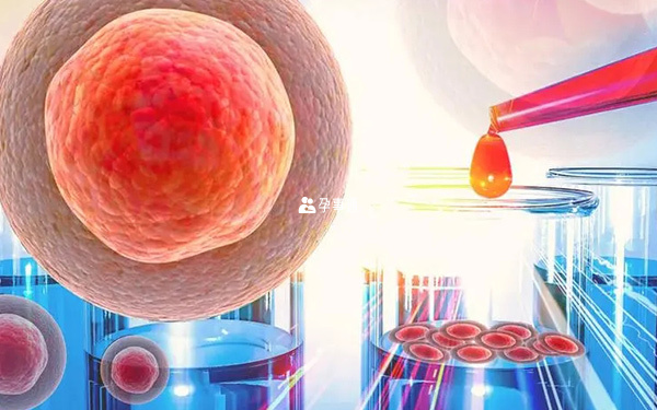 人工授精的種類方法