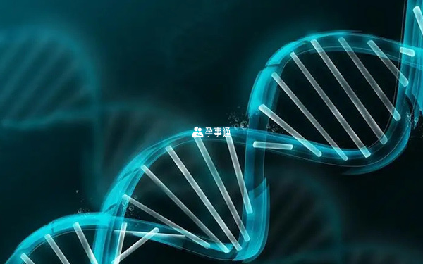 9號染色體