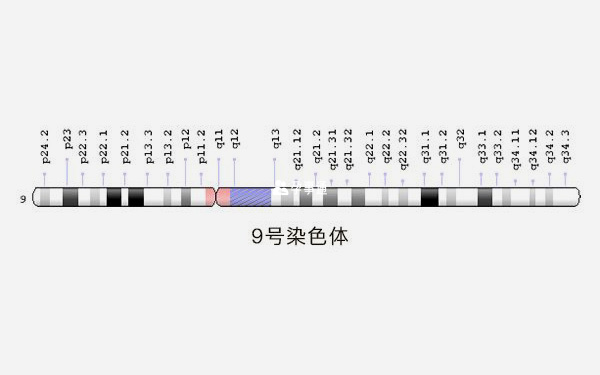 9號染色體