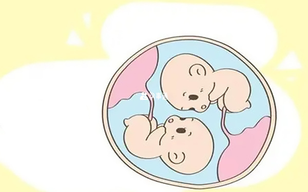 同卵雙胞胎怎麼形成的