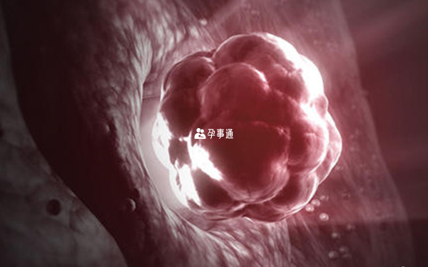 女人絕經後還能懷上孩子嗎