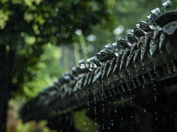 孕婦夢見下雨預示了什麼