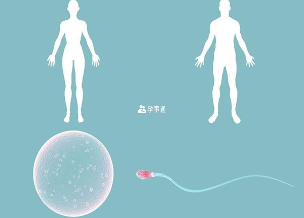 馬來西亞第三代試管嬰兒成功率高的原因