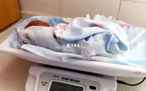 巨大兒體重標準