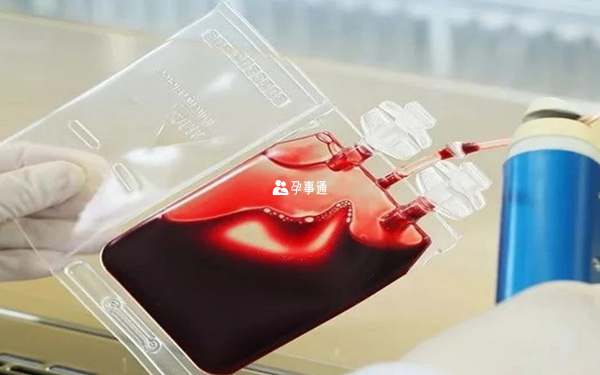 合格的臍帶血才有治療作用