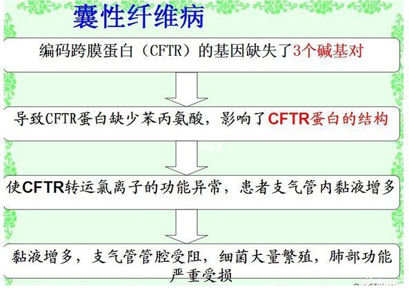 出現囊性纖維化的原因