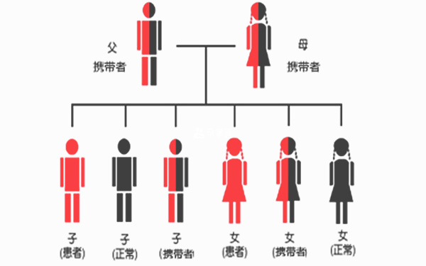 白化病是如何遺傳的