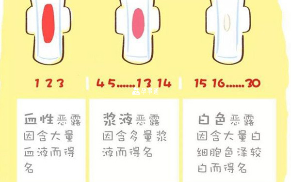 三種惡露變化圖