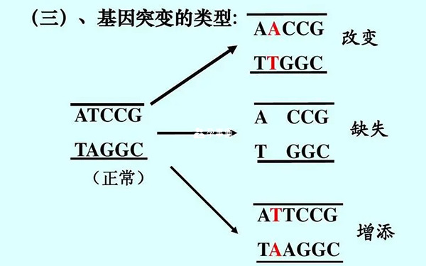 CYB5R3基因發生突變