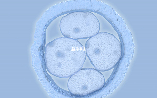 著床發育