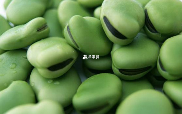 蠶豆病不能吃蠶豆
