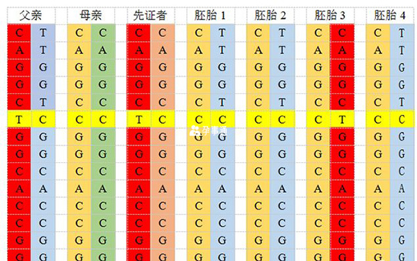 PGD篩查結果