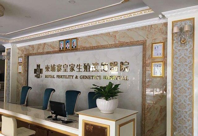 試管嬰兒的成功率是選擇泰國試管嬰兒醫院的重要依據