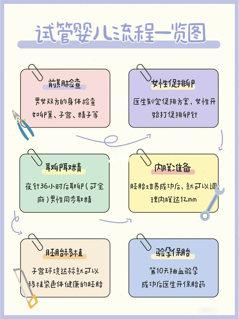 泰國試管嬰兒流程參考圖