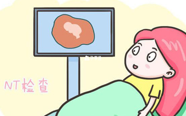 nt檢查對胎兒來說很重要