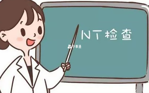 nt檢查的內容包括很多