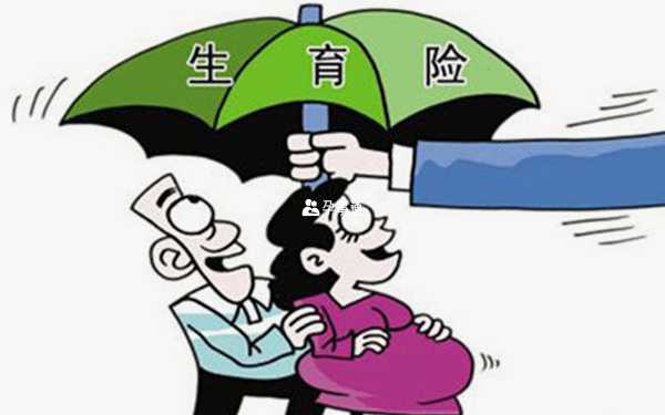 nt檢查費用生育險能報銷