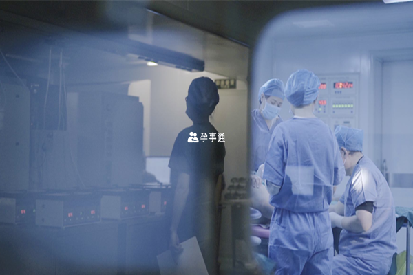 3點取卵建議