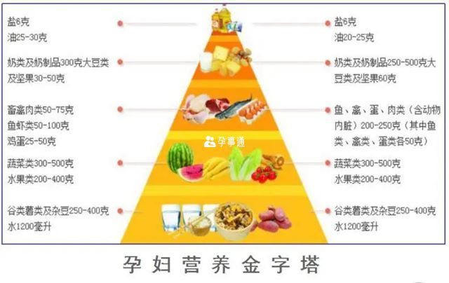 合理的飲食結構