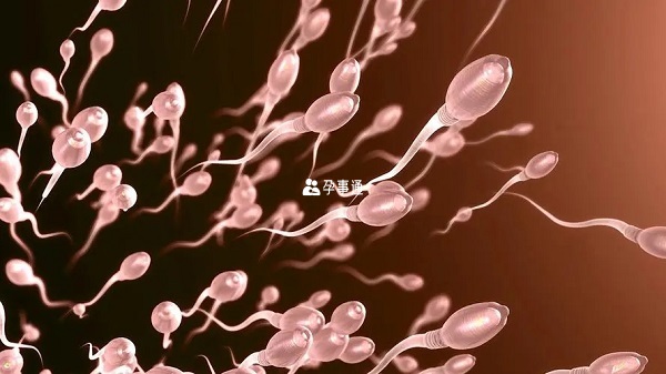 死精症是指男性精子存活率低下