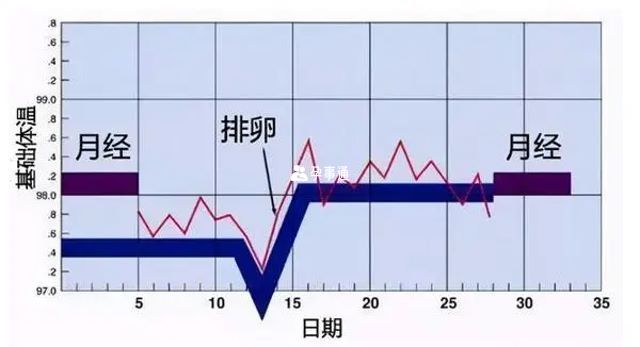 排卵期體溫變化圖