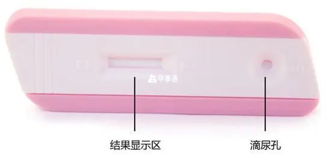 檢測結果顯示區