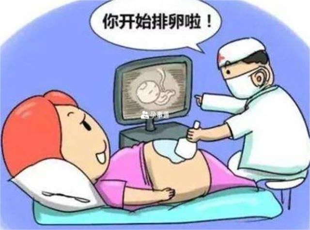 排卵監測怎麼做
