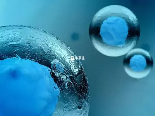 在臺灣凍卵費用分兩次收