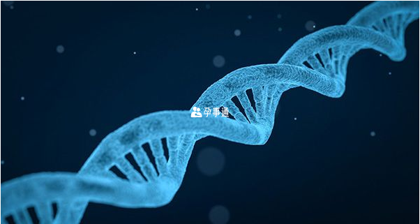 15q24微缺失