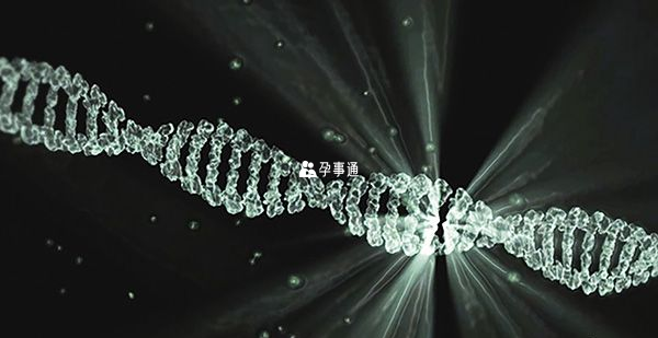 15號染色體可能包含600至700個基因