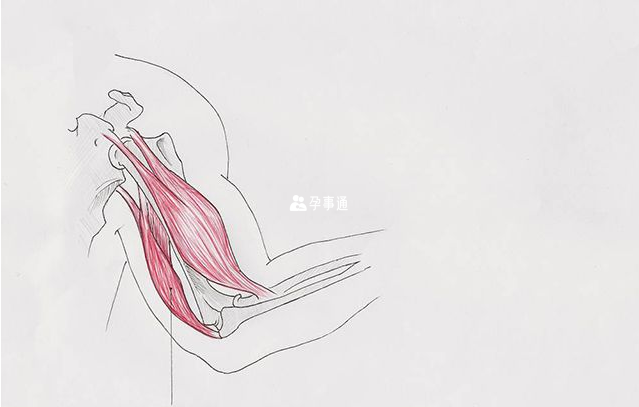 面肩肱型肌營養不良症
