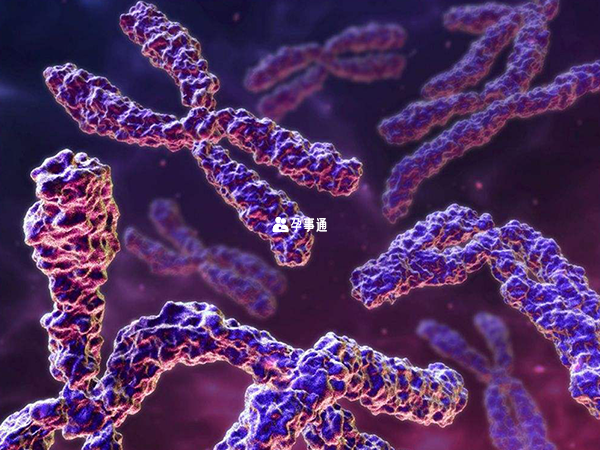 面肩肱型肌營養不良症由4號染色體異常引起