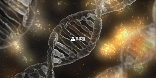Prader-Willi綜合徵