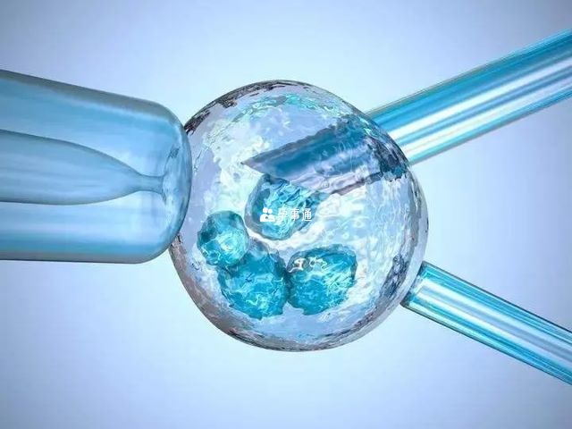吉林試管產生的所有費用需患者自費